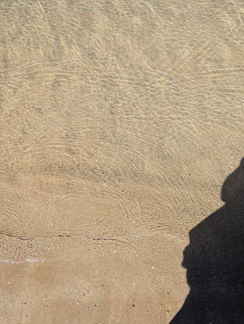 Local Fishing Harbor