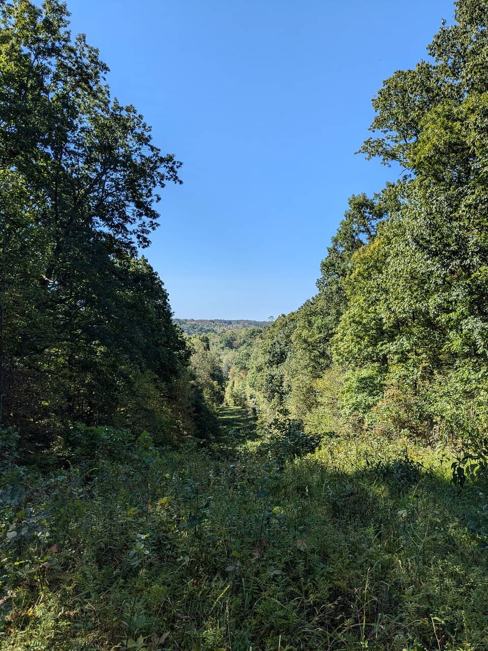 Buena Area Exploration