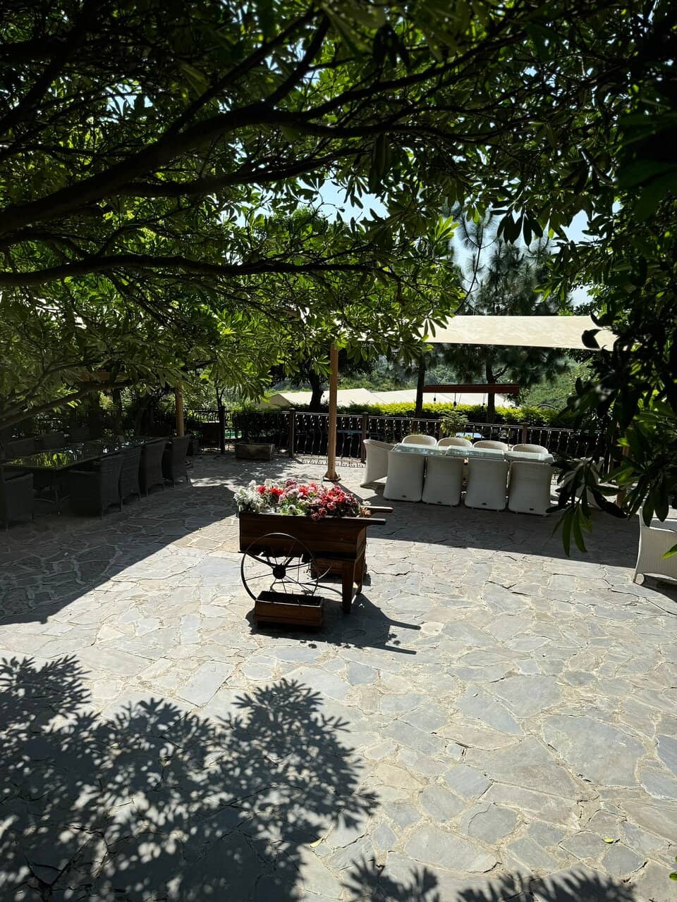 Historic Step Well (Bowli)