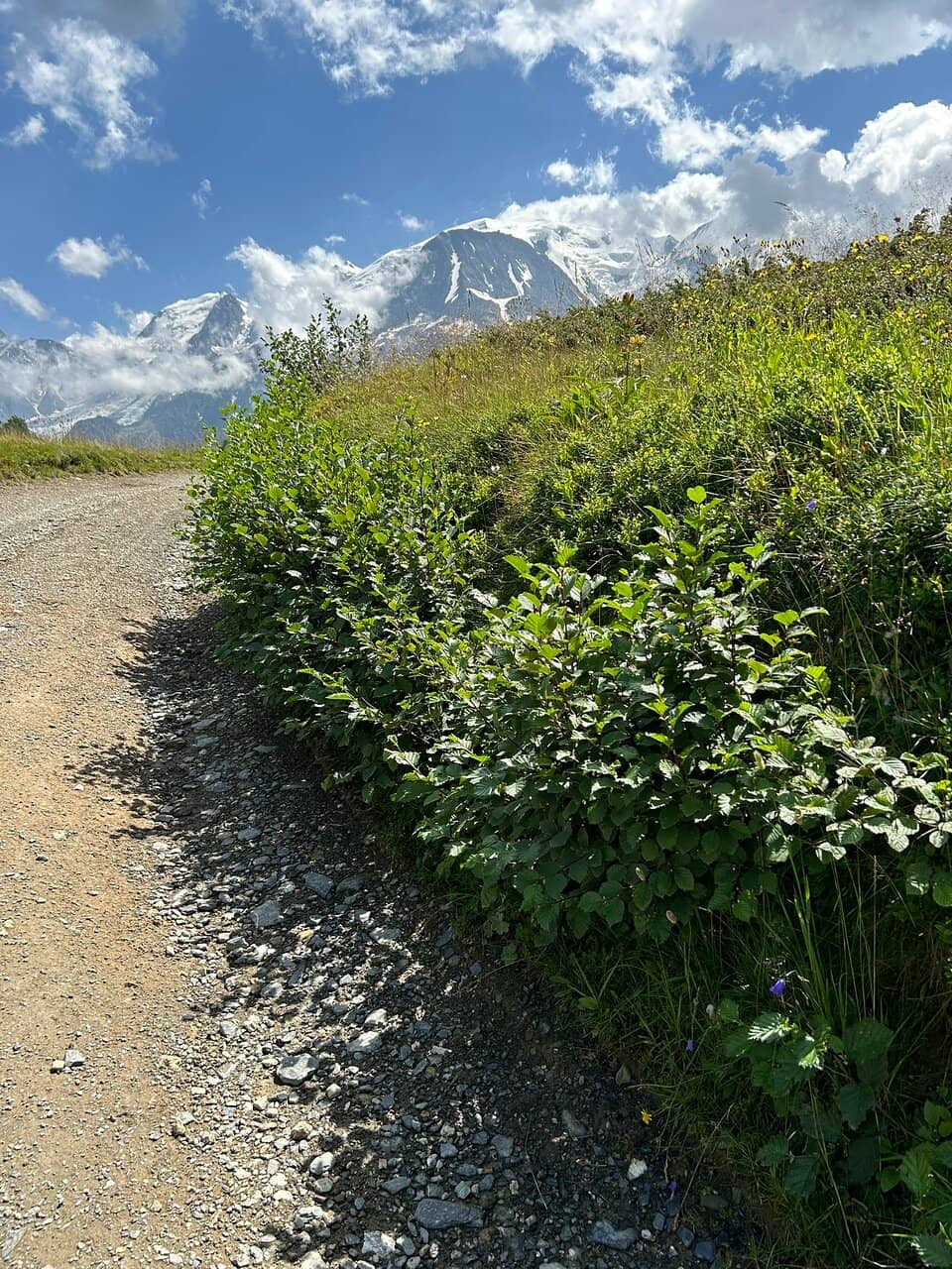 Panoramic Mountain Views