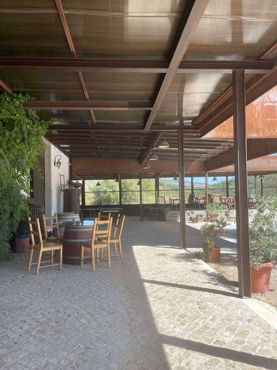 Wine Tasting Experience