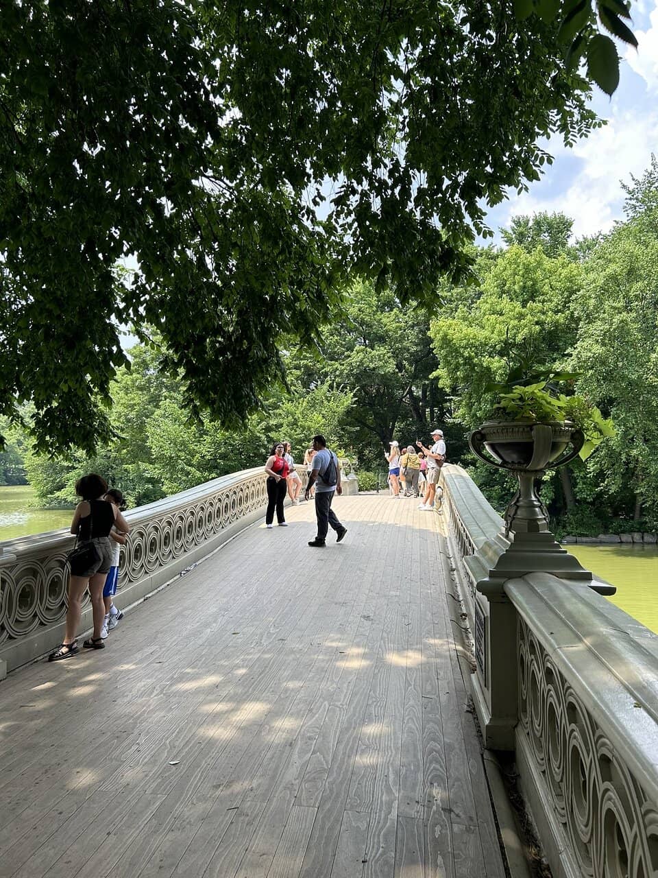 Lake Views & Skyline