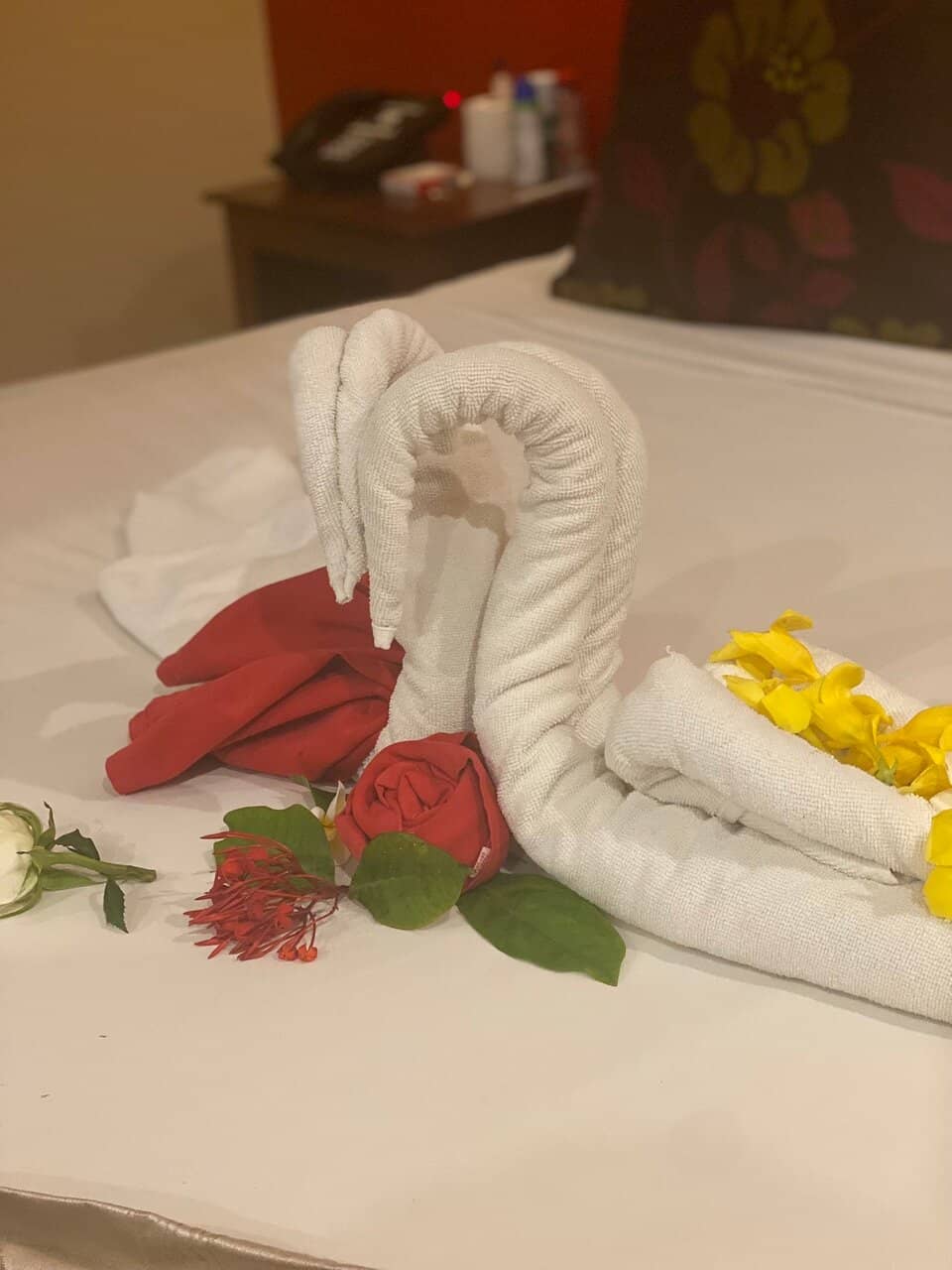 Kitesurfing Paradise