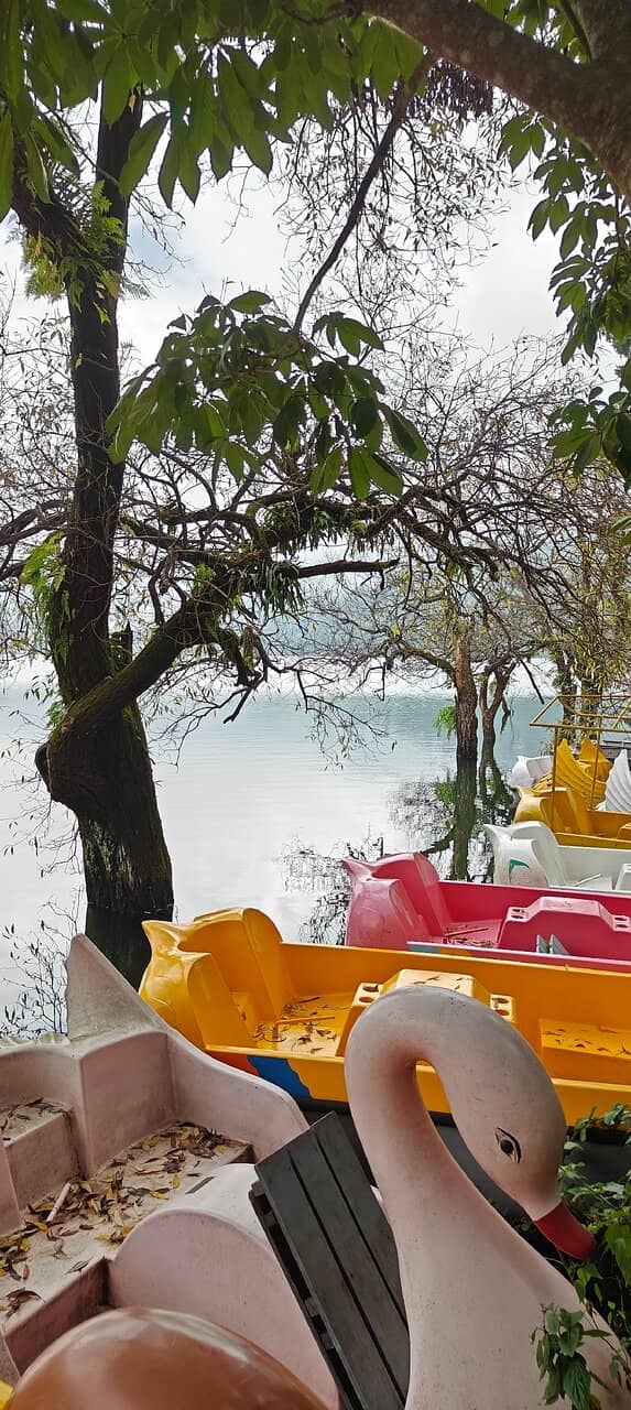 Scenic Walks and Photography