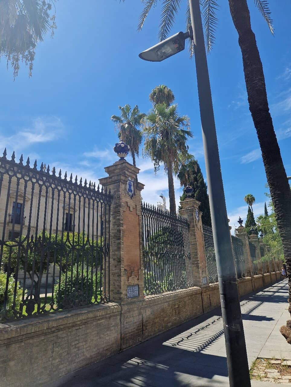 Plaster Cast Exhibition