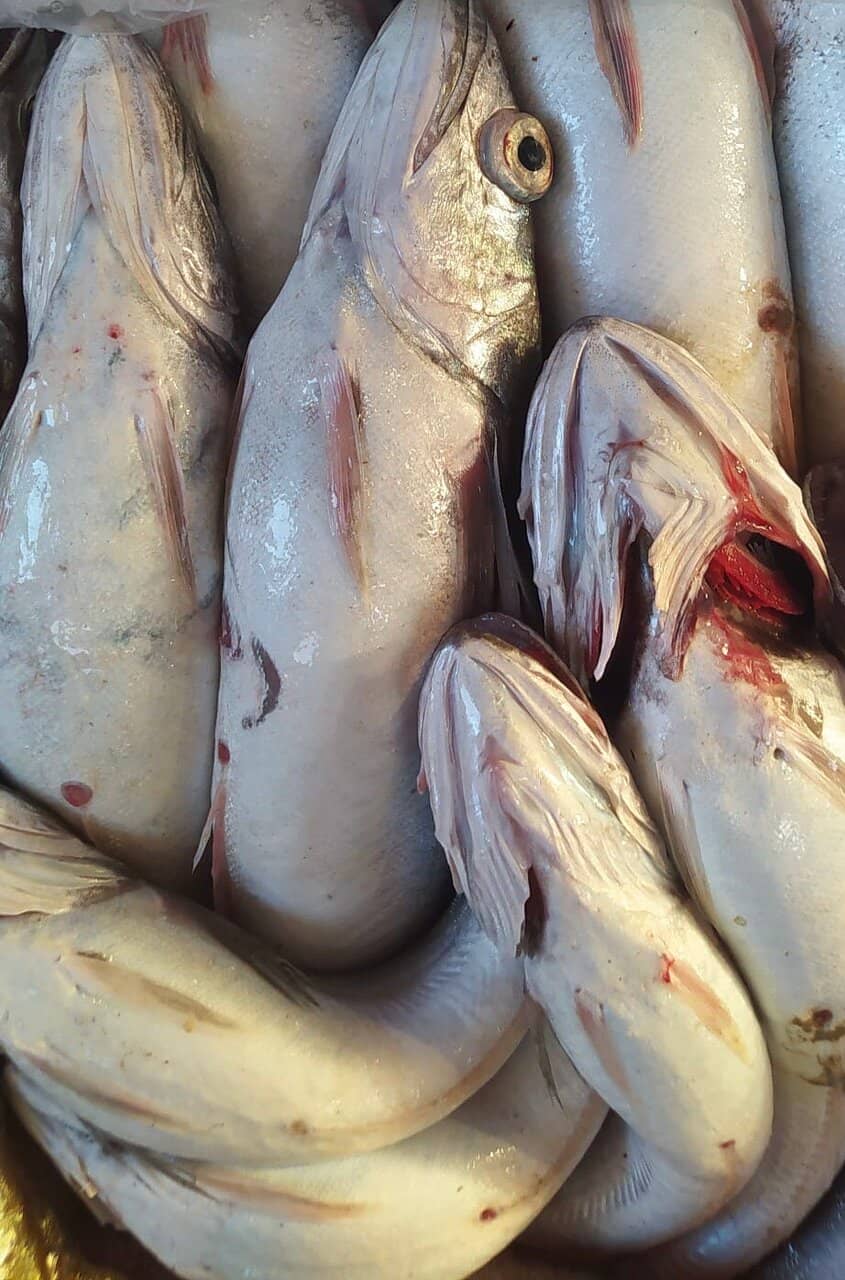 Sunset Over the Harbor