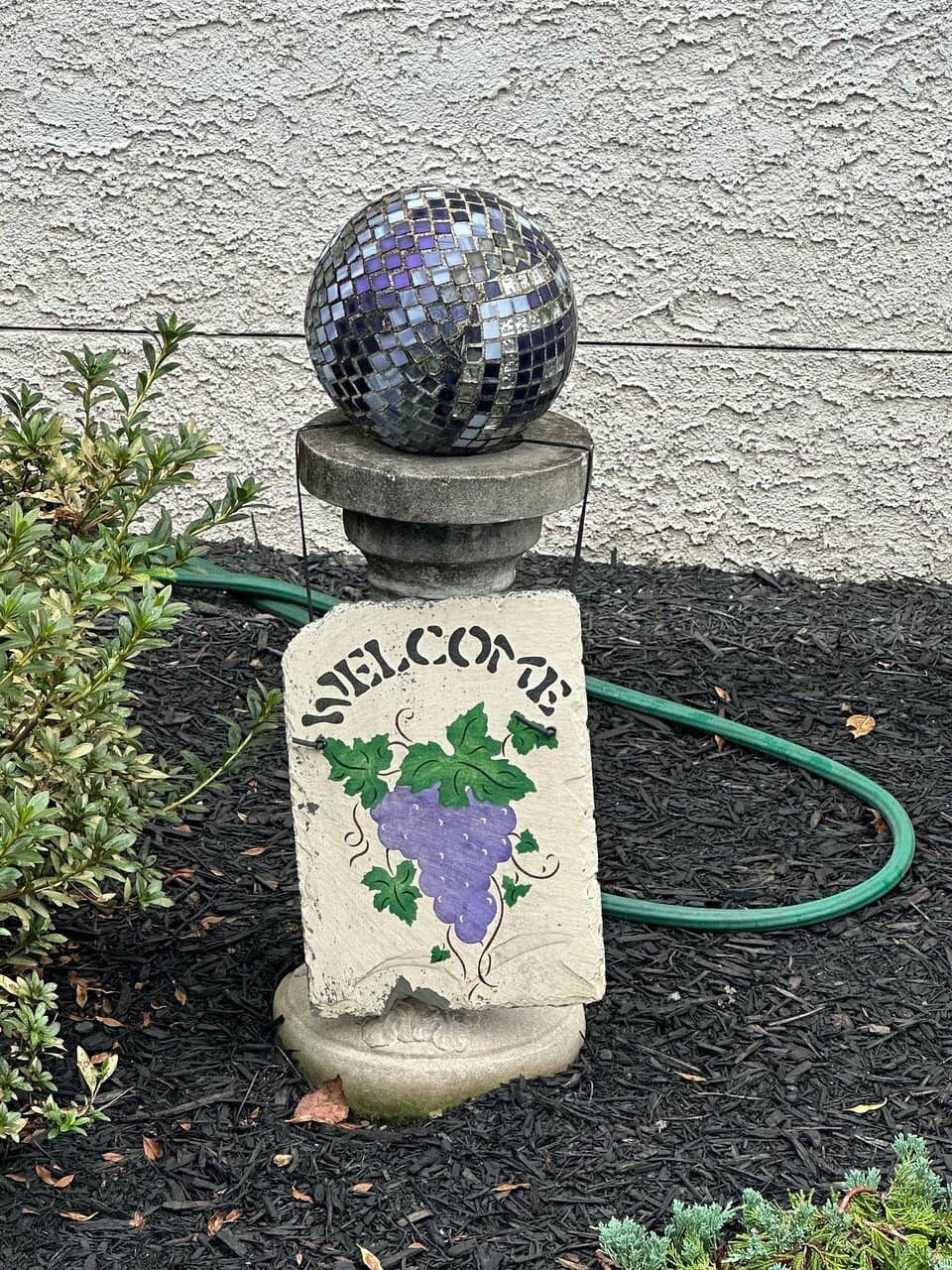 Muscadine Wine & Cider Tasting