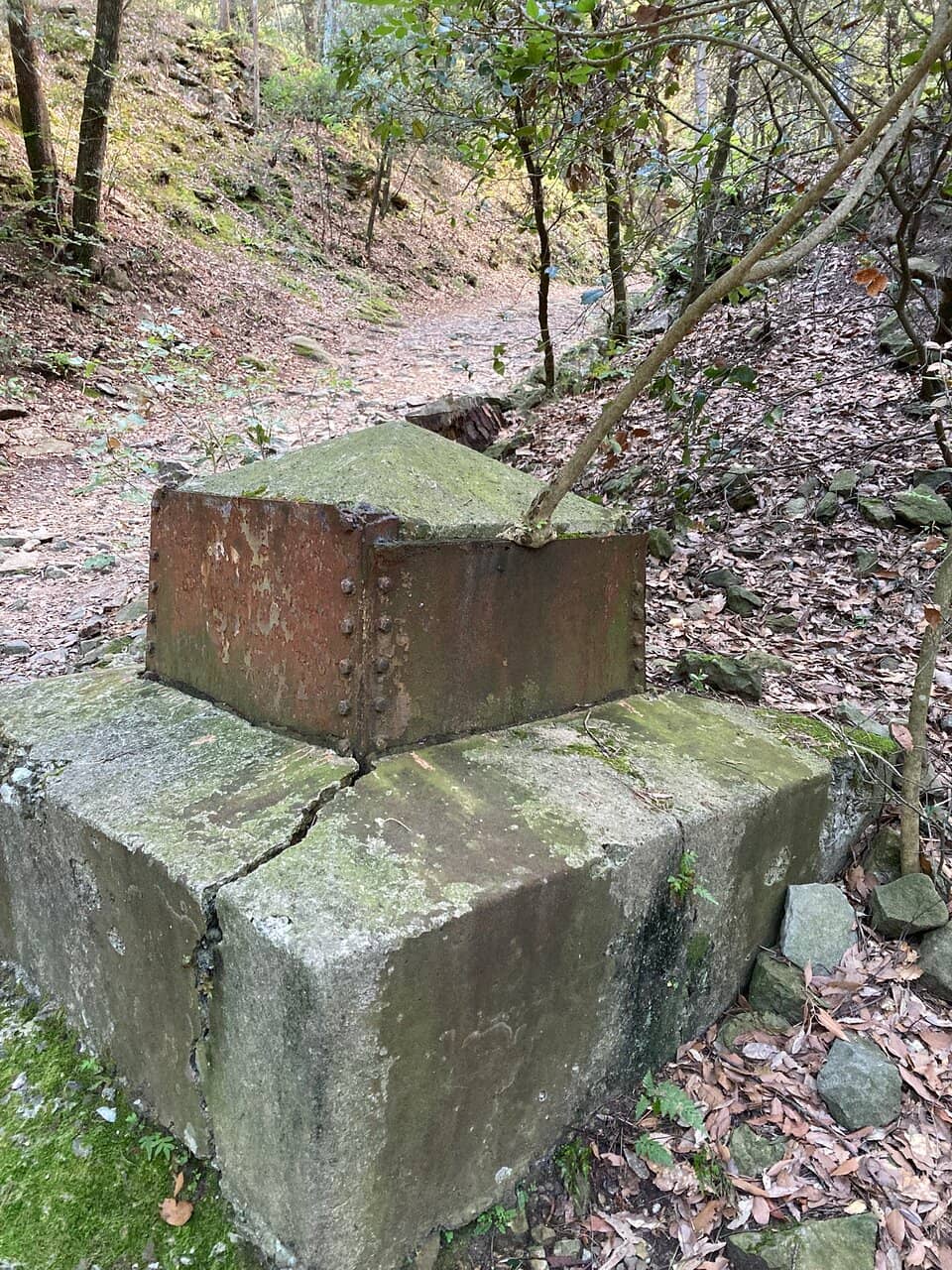 Panoramic Tuscan Views