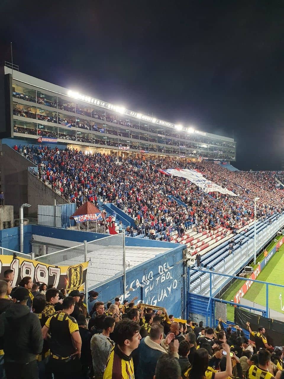 Passionate Fan Atmosphere