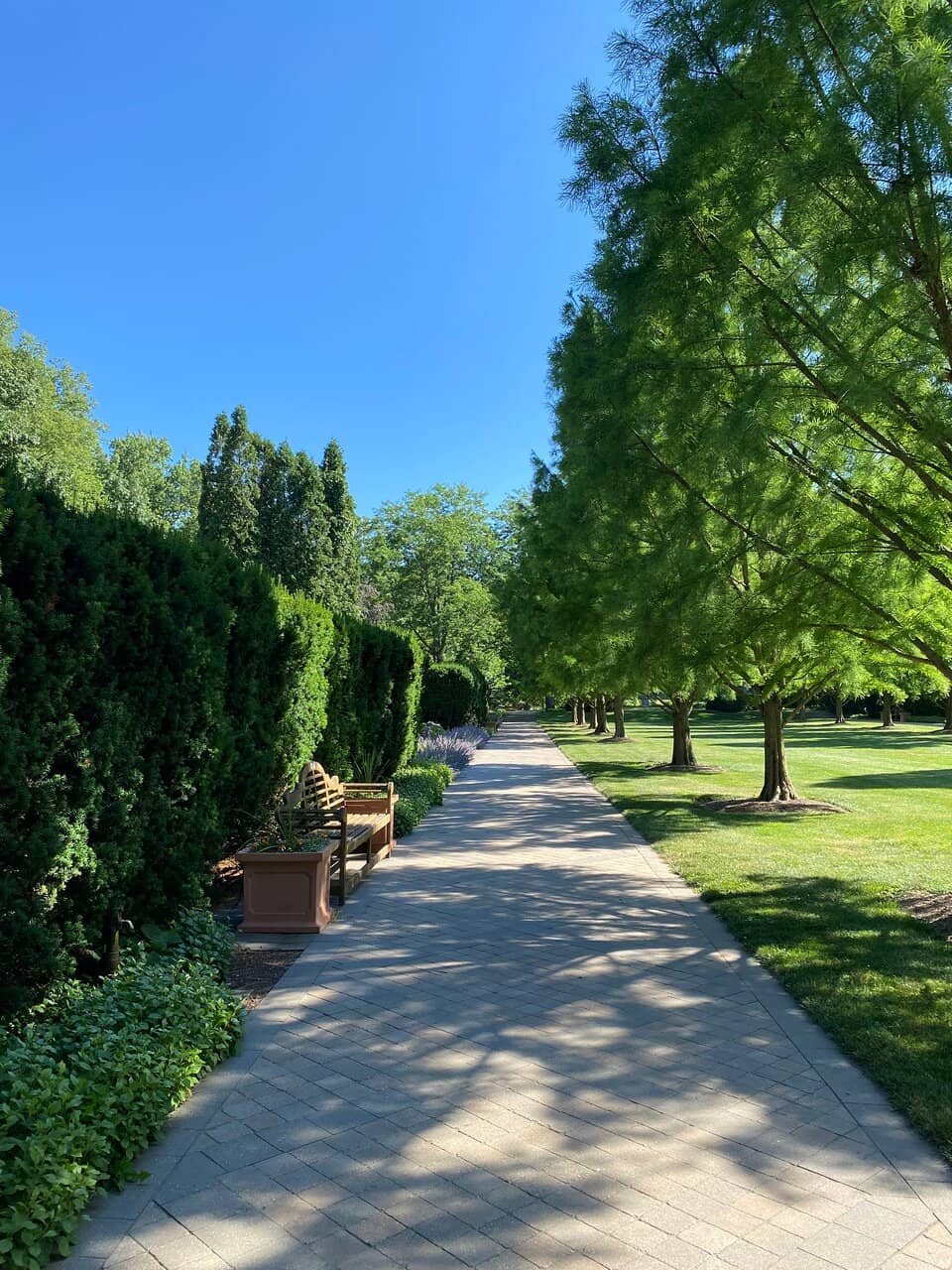 Children's Garden