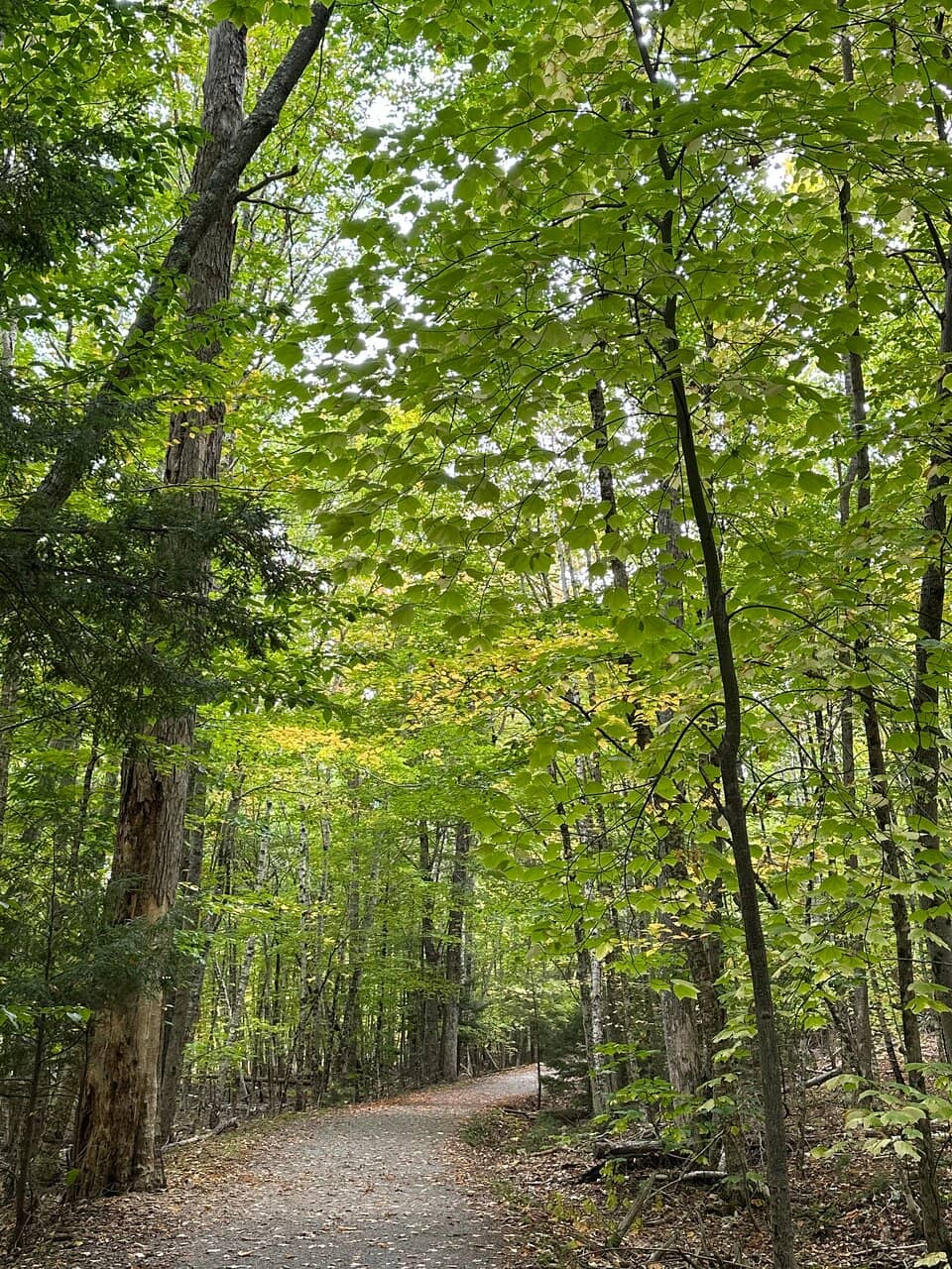 Sieur de Monts Nature Center