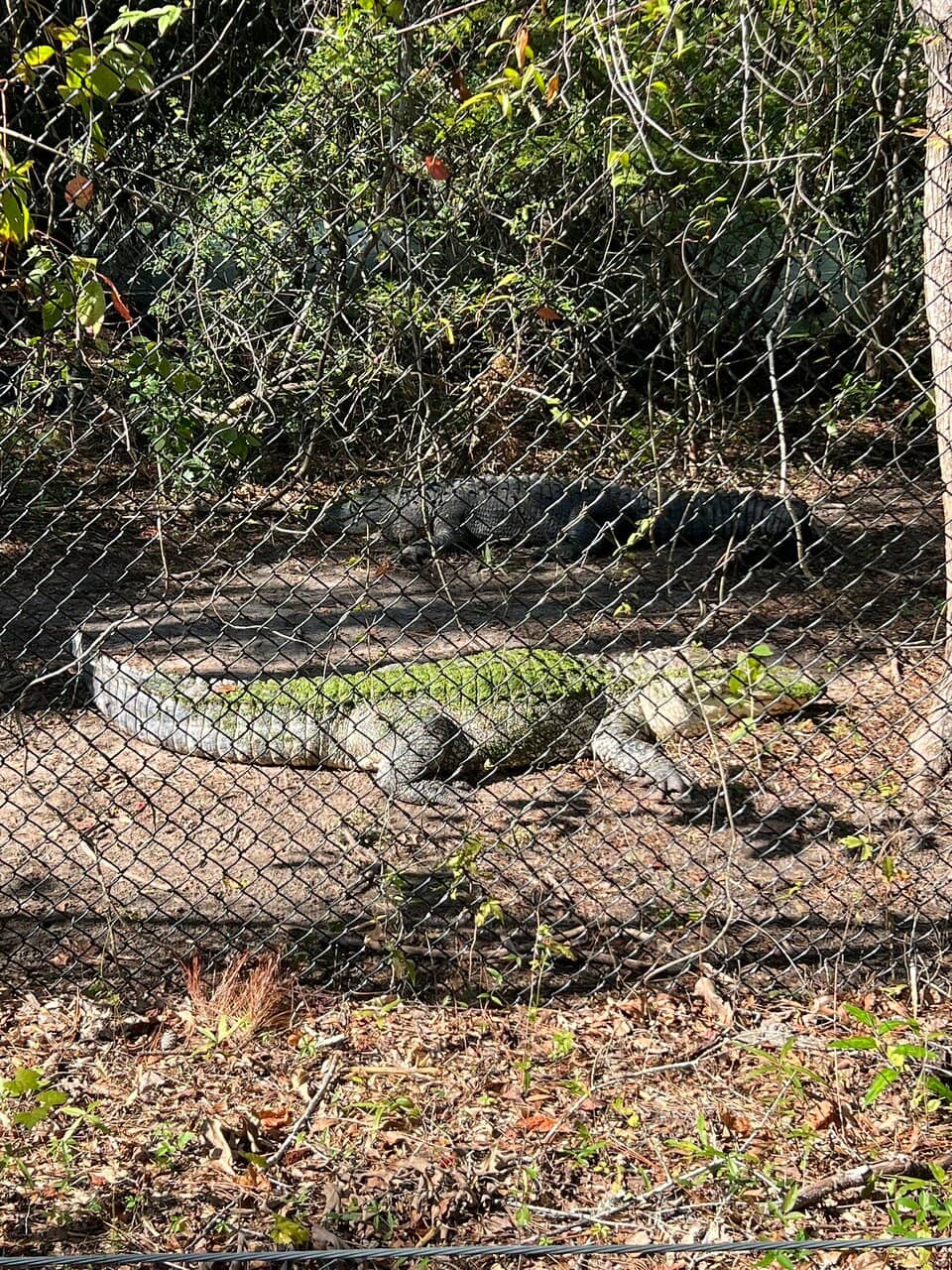 Nature Trails & Biking