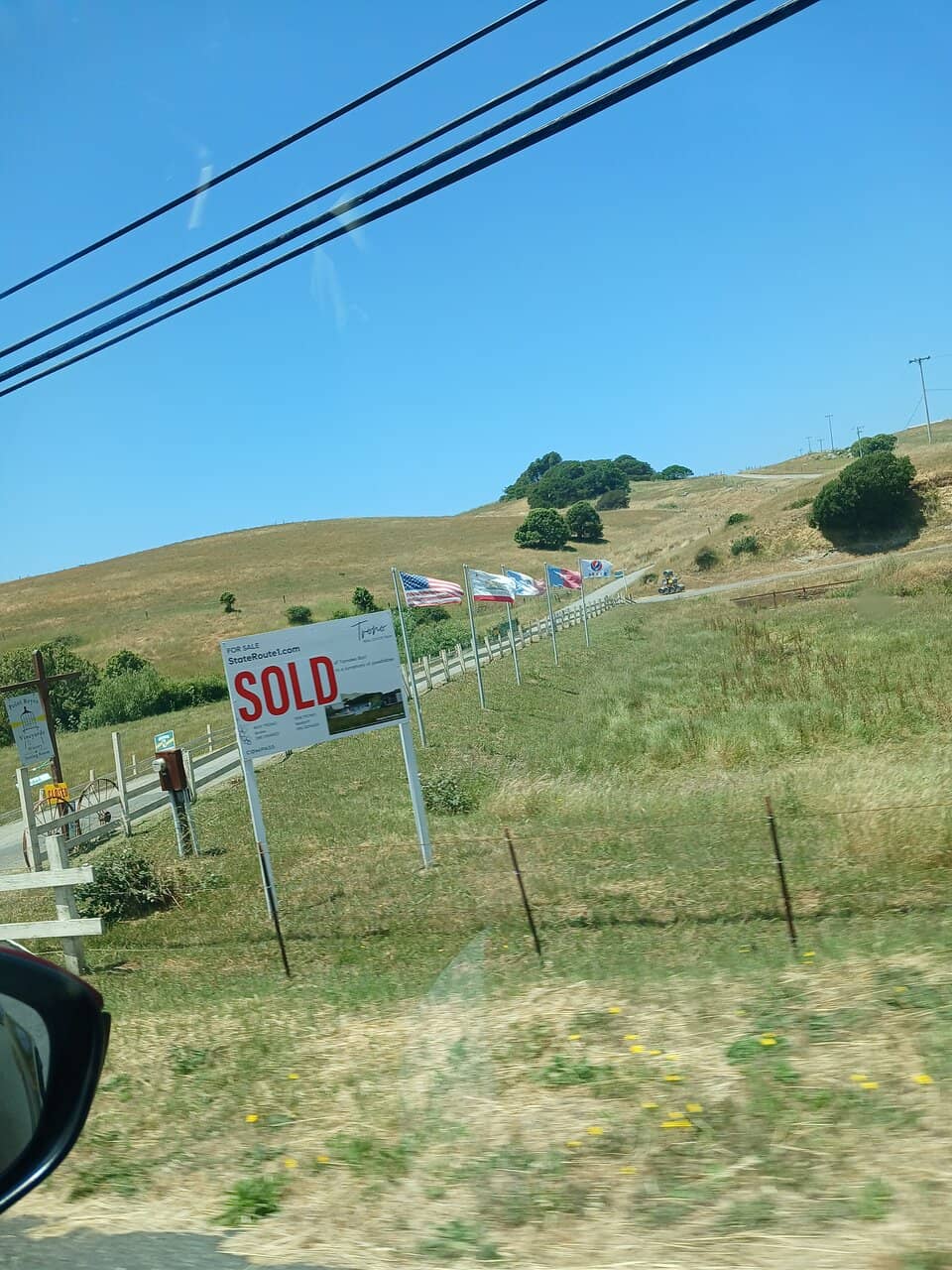 Sea Kayaking & Moon Jellies