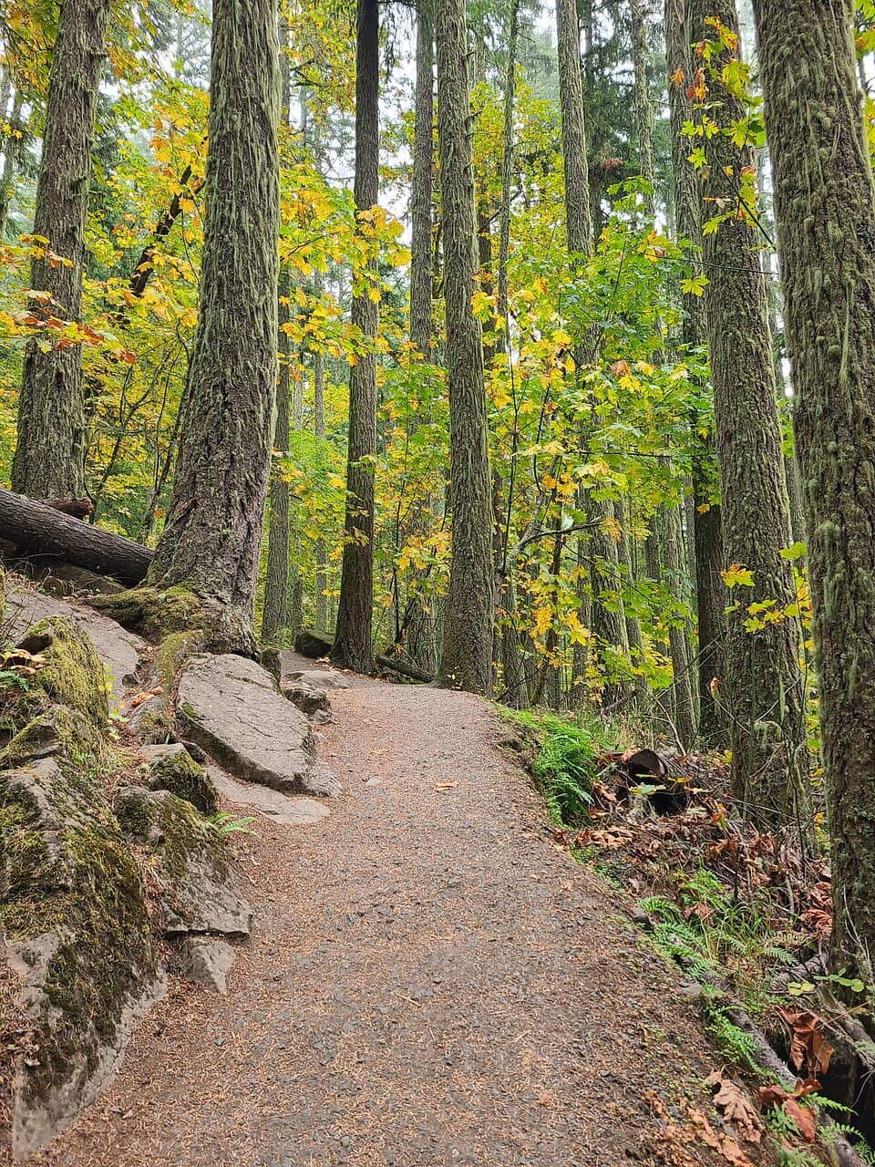 Challenging Ascent Trail