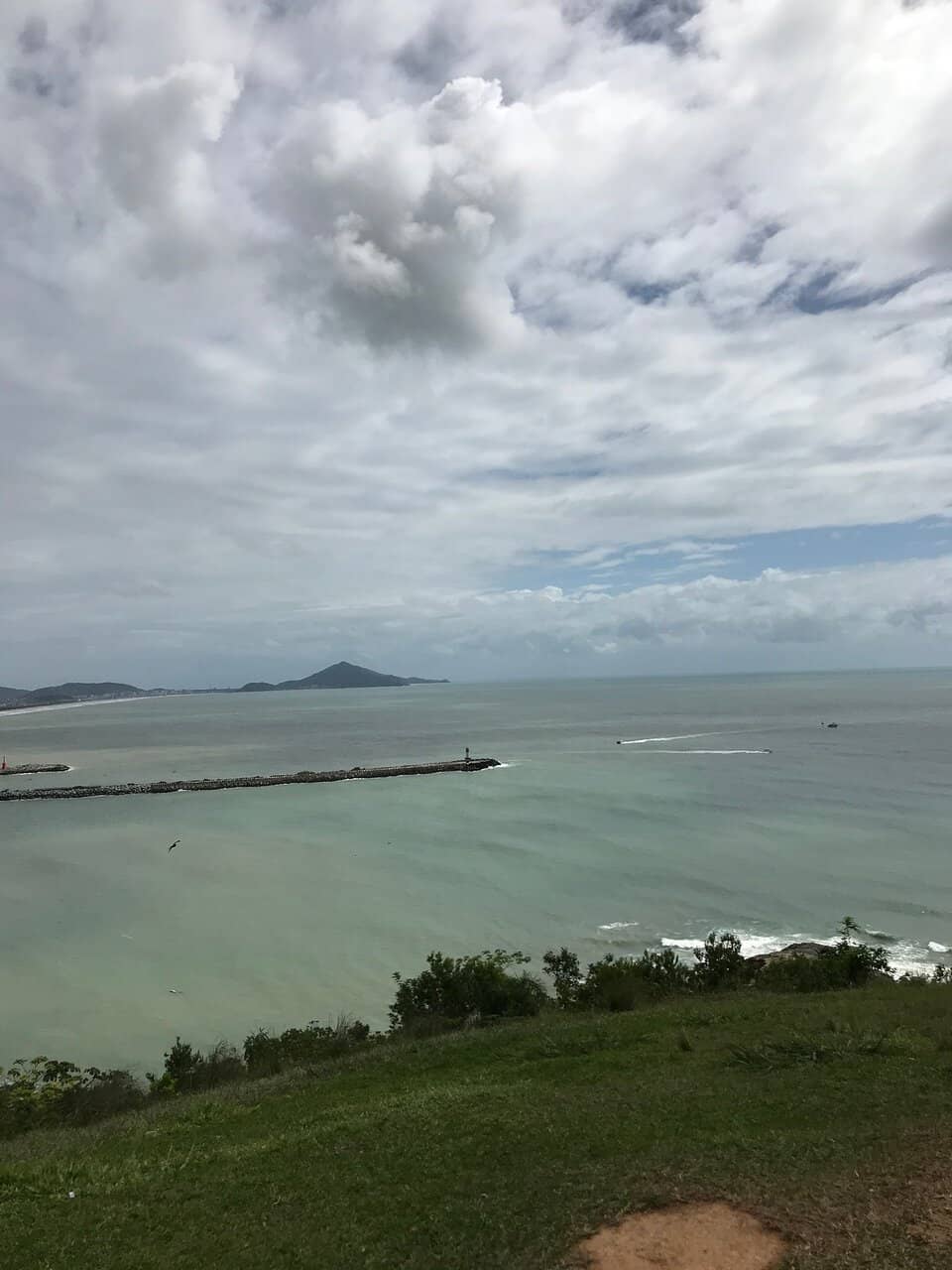 Picnic-Perfect Lawns