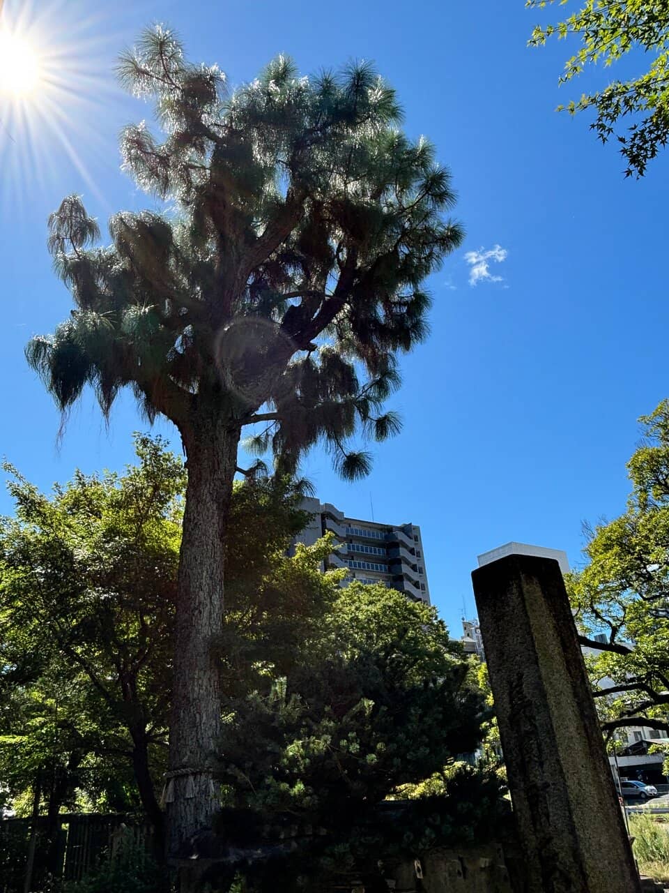 Gifu Nobunaga Shrine