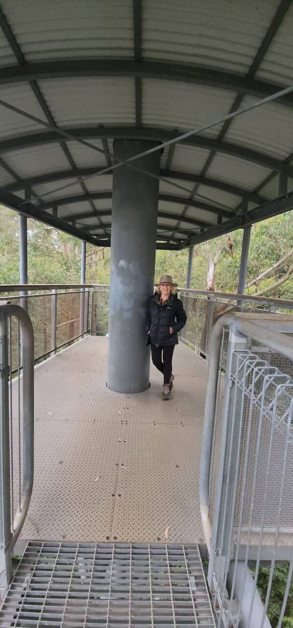 Knight's Tower Lookout