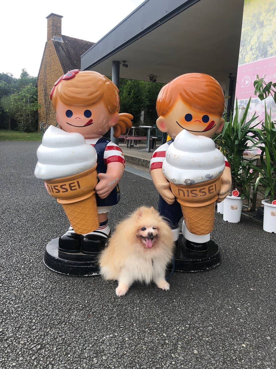 Local Crafts & Products