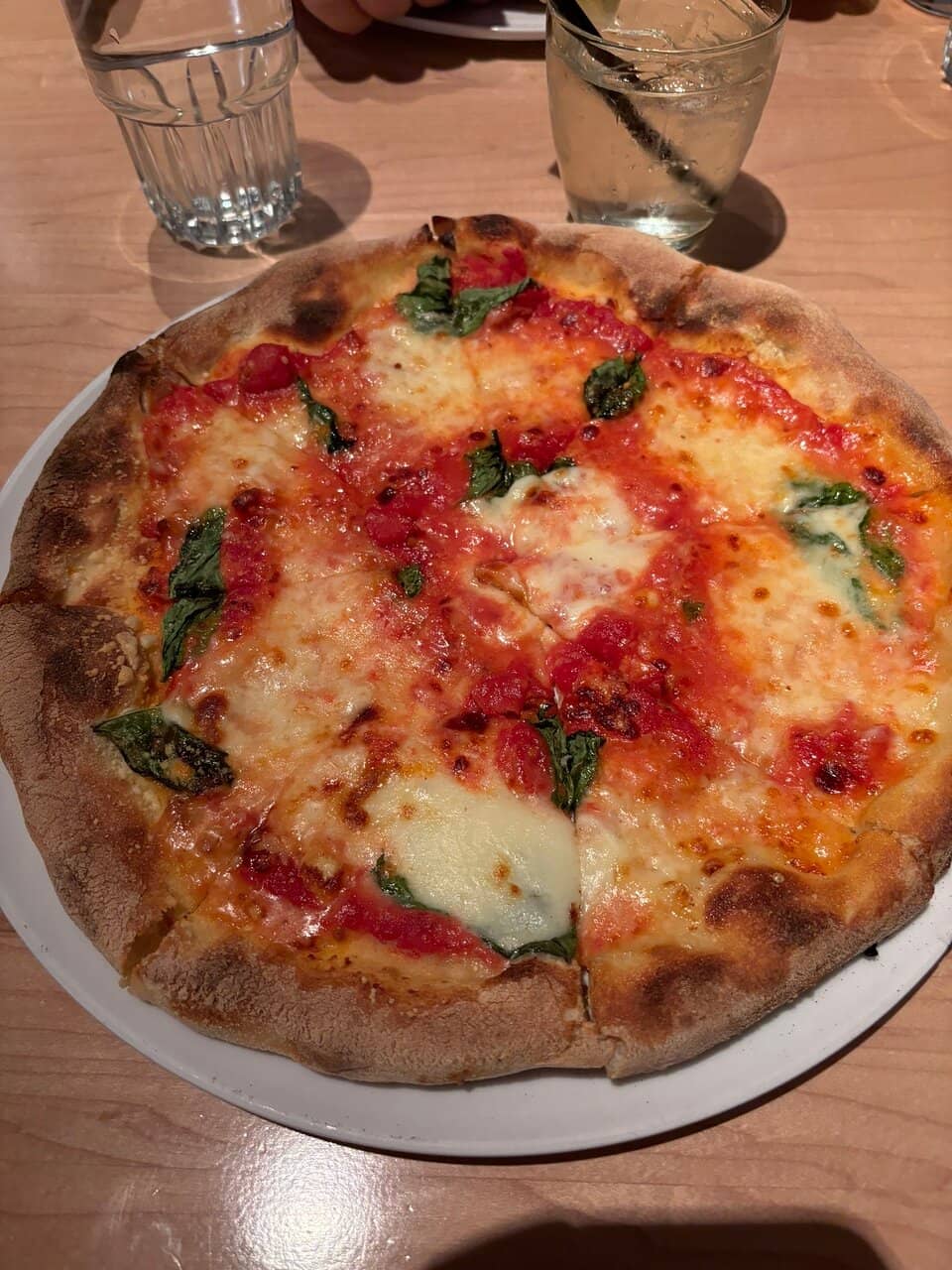 Elegant Casual Ambiance