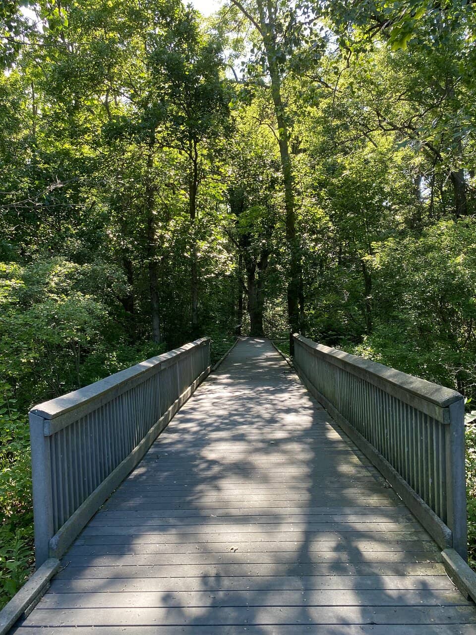Boardwalk Trails