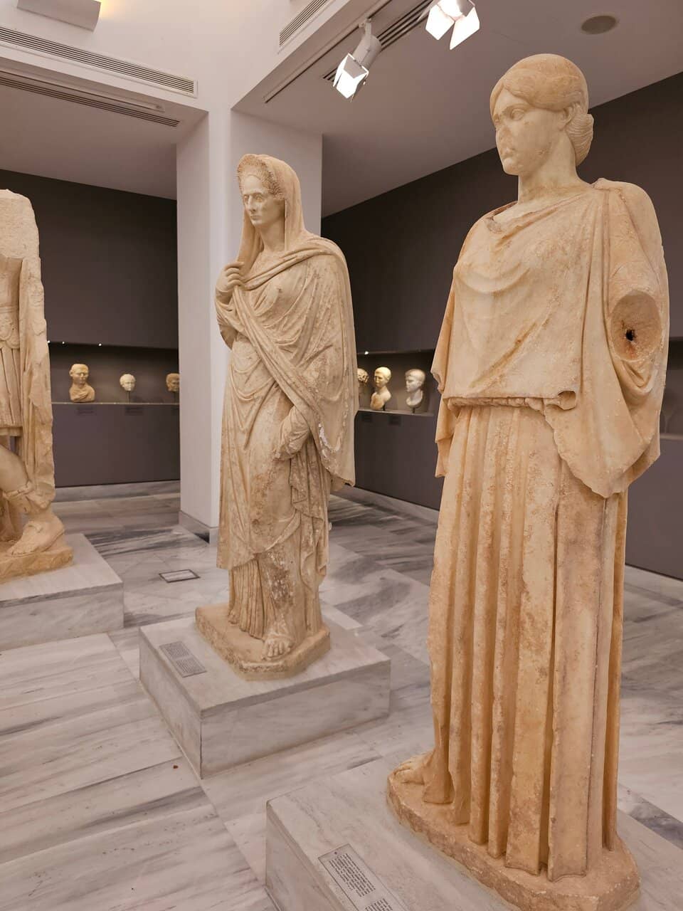 Paleontological Exhibits