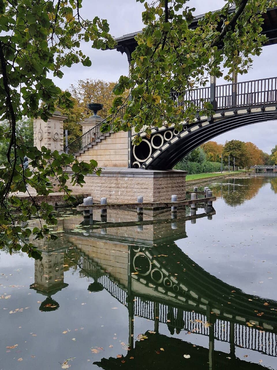 Evening Illumination