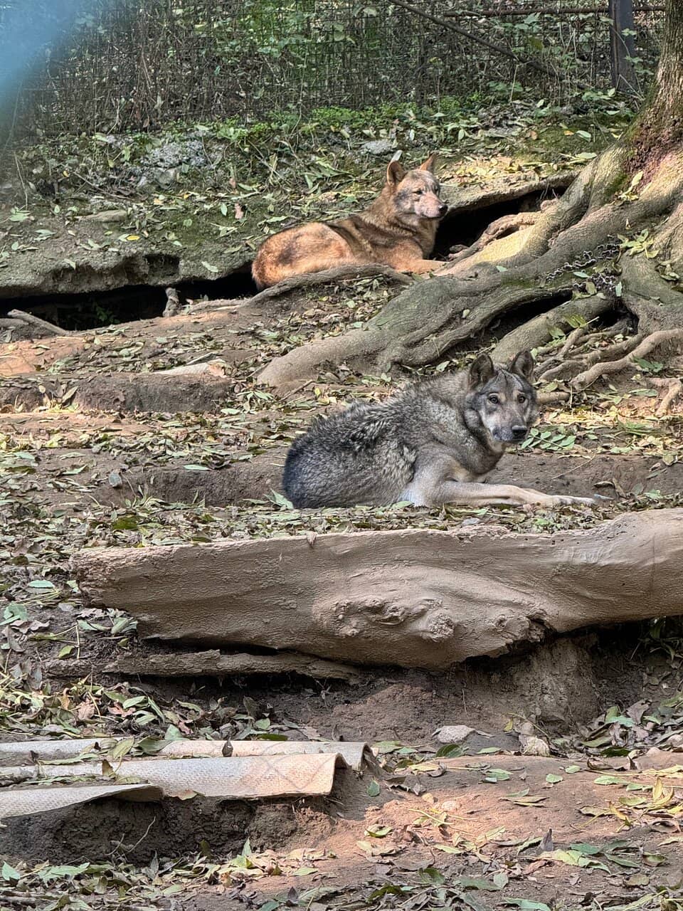 Olympic Bob Track Walk