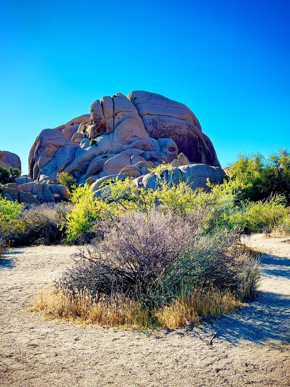 Golden Hour Photography