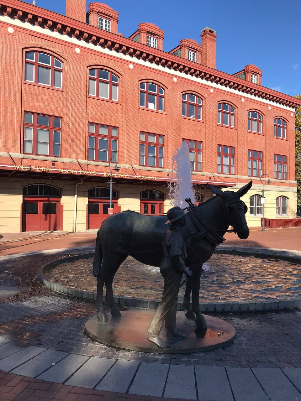 Murder Mystery Train Experience