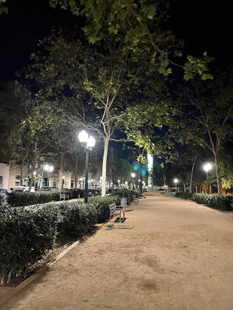 The Pond and Greenery