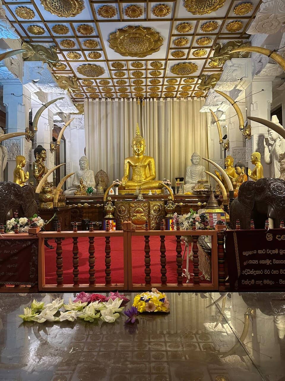 Peaceful Beach Walks