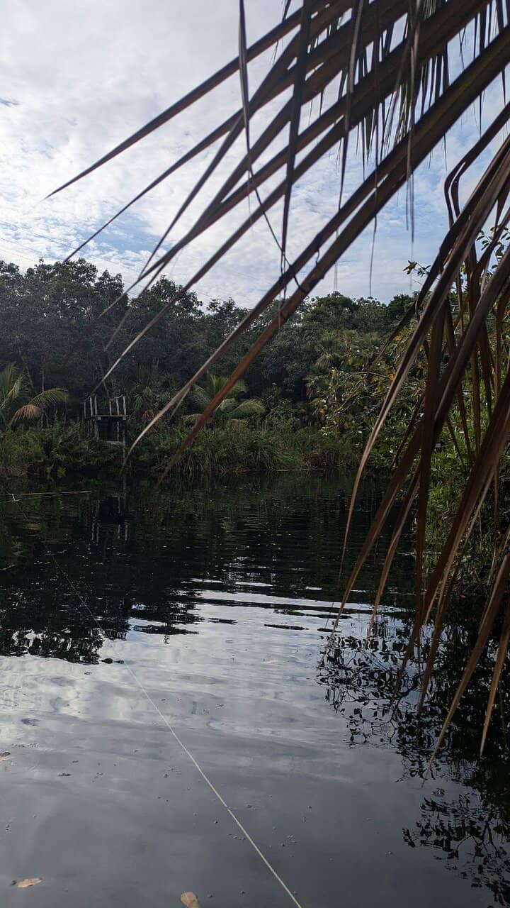 Rope Swings and Jumping Platforms
