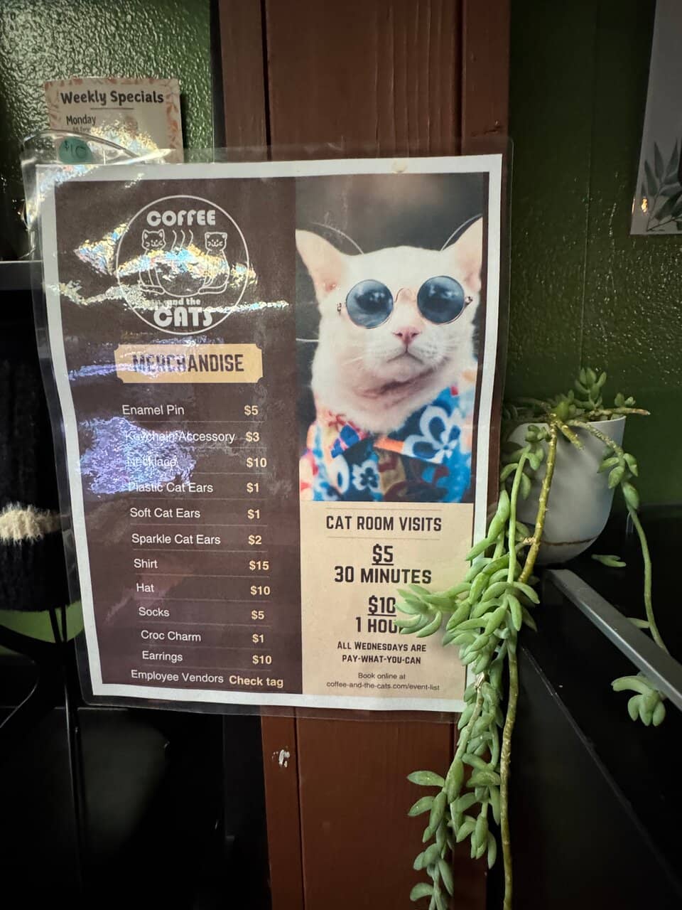 Specialty Lattes & Treats