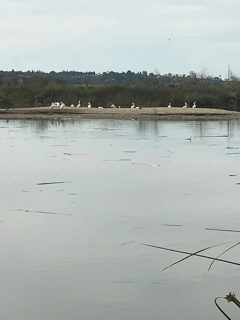 Peaceful Nature Escape