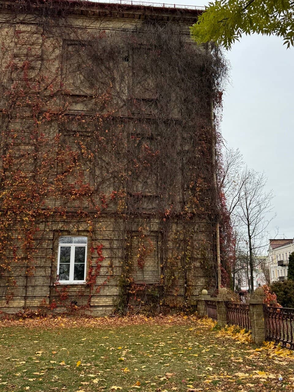 Vertical photo