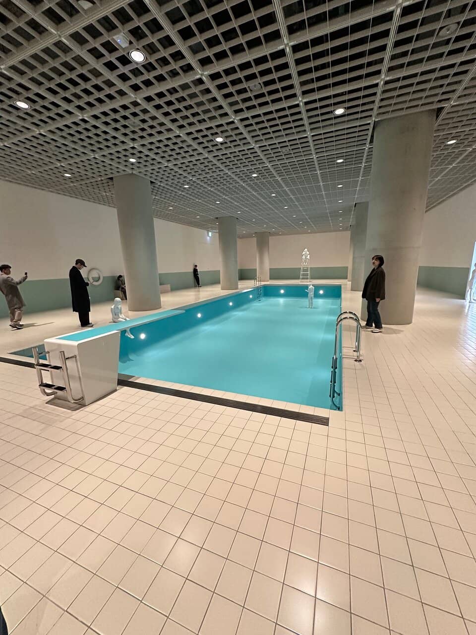 Immersive Art Installations