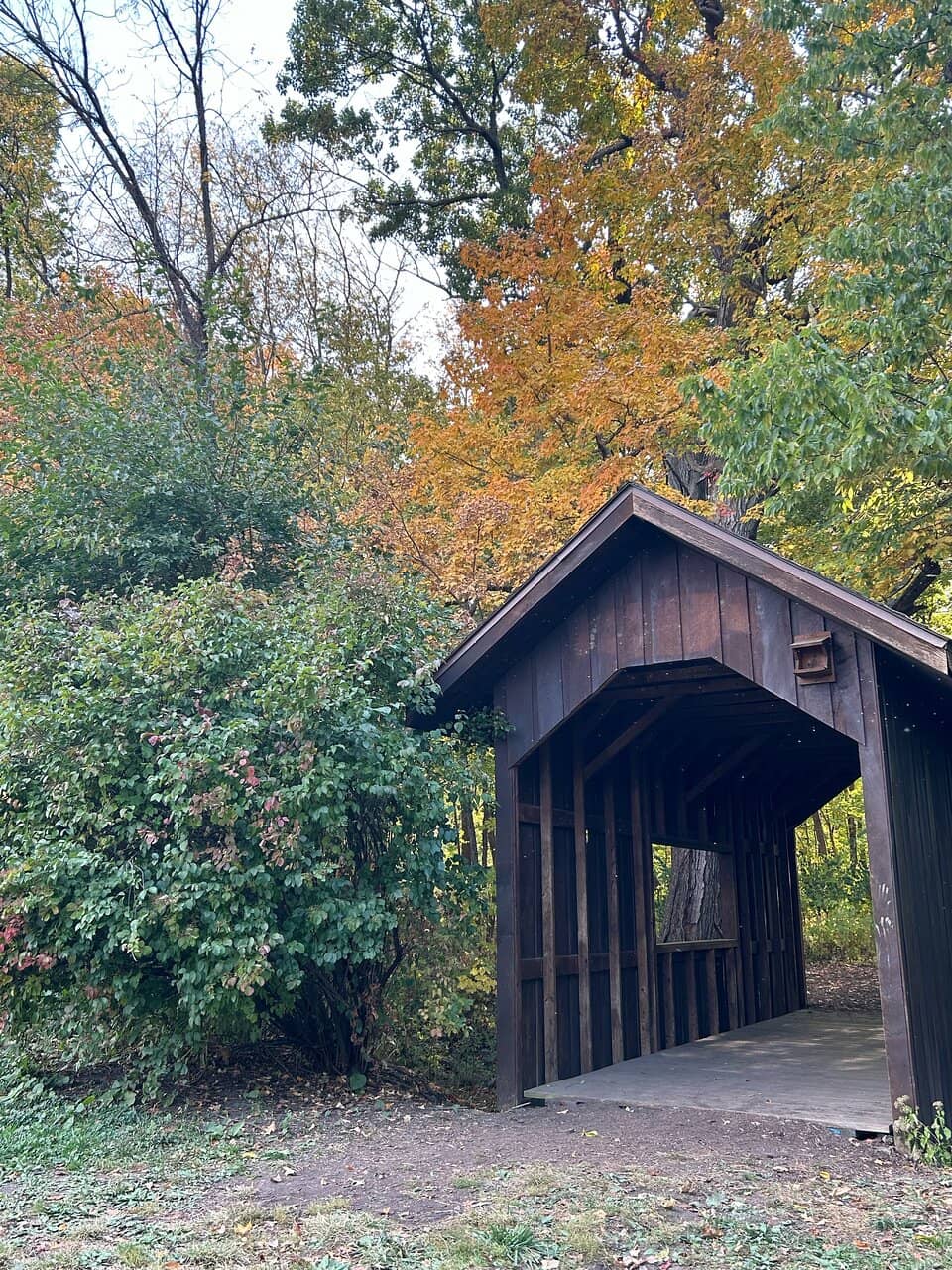 Tangled Woods Trails