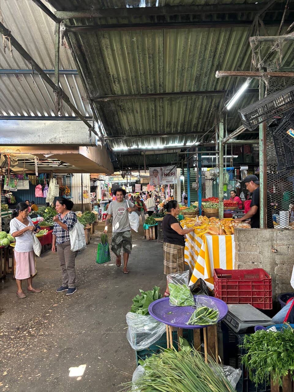 Ecological Veggie Stall