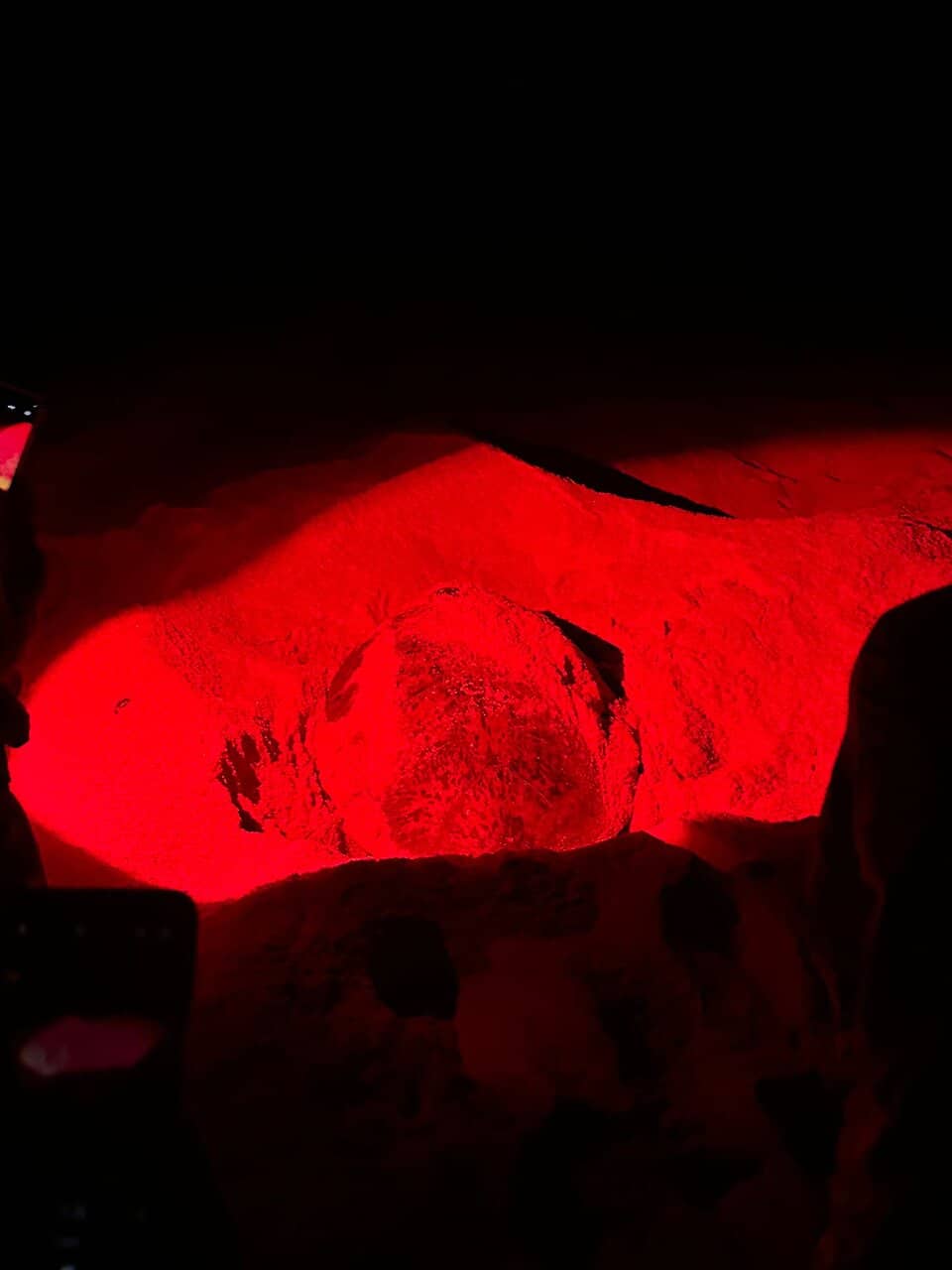 Ras Al Jinz Turtle Reserve Museum