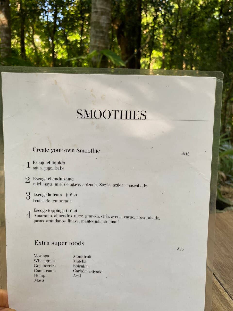 Authentic Mayan Chilaquiles