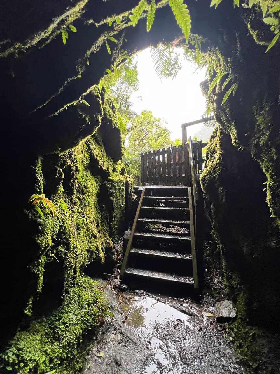 Wooded Landscape Walk