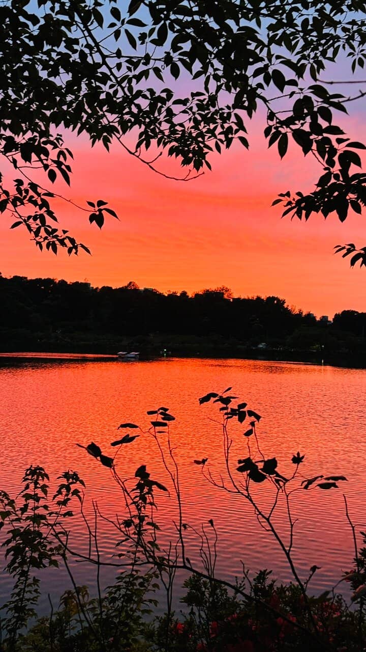 Extended Lakeside Platform