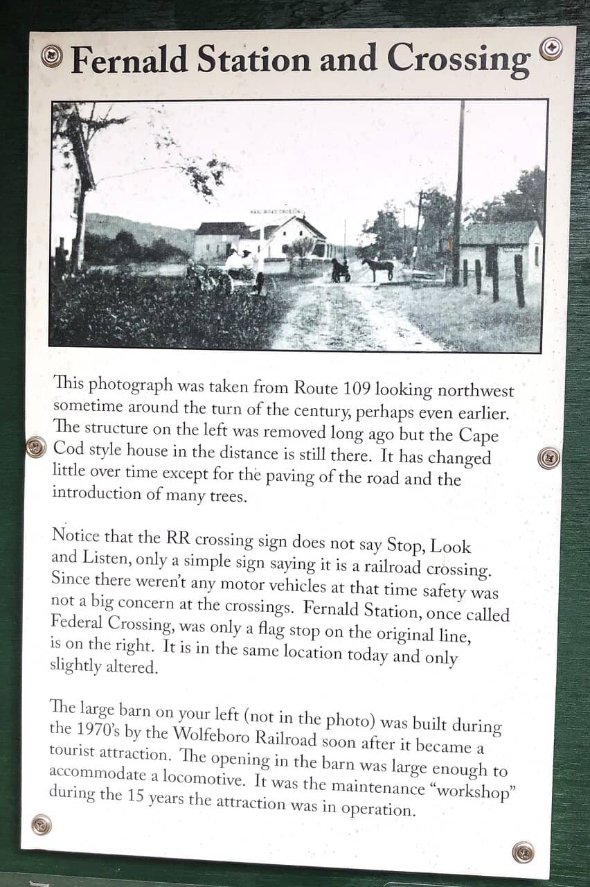 Dog-Friendly Exploration