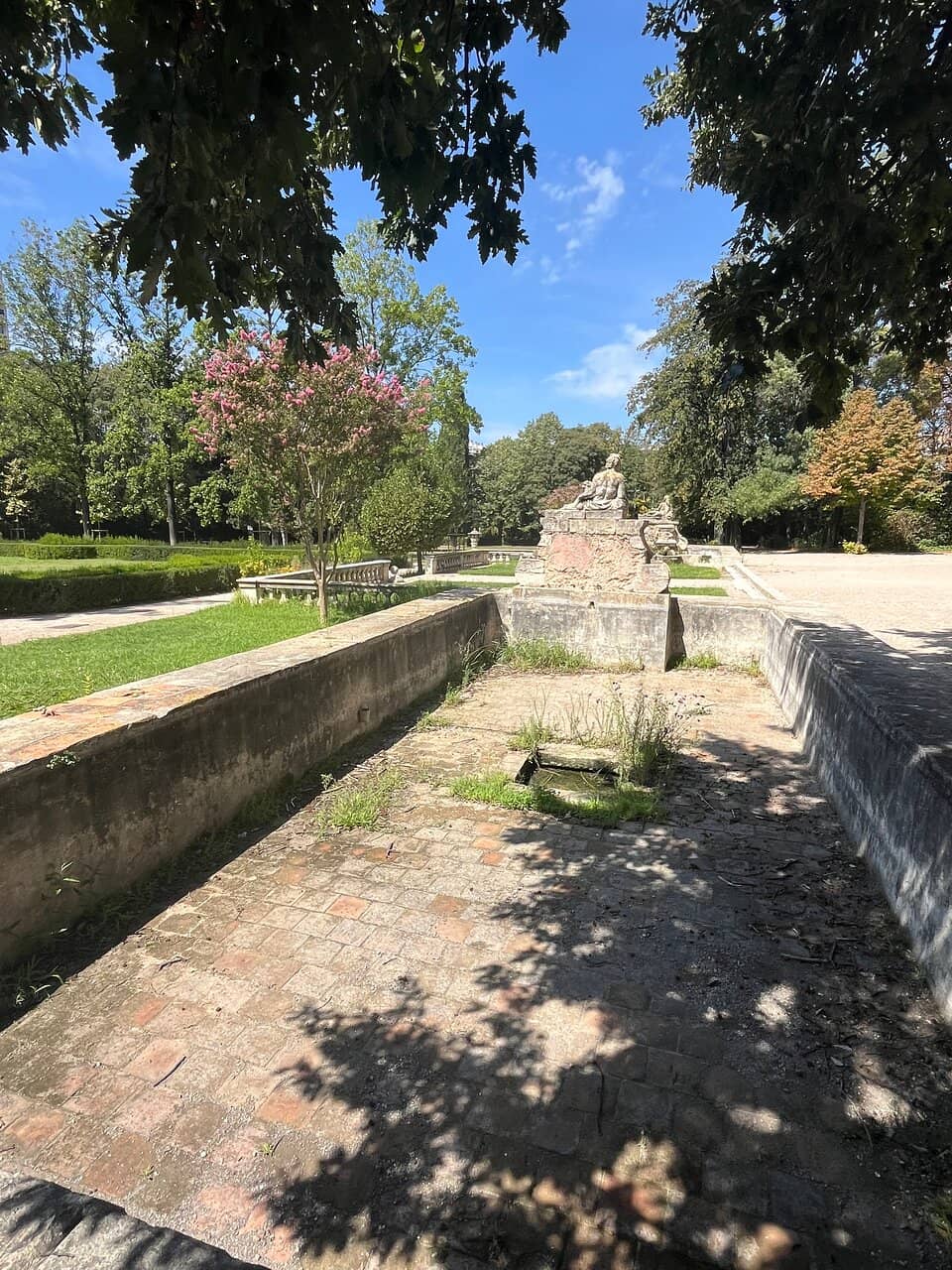 Turtle and Fish Pond