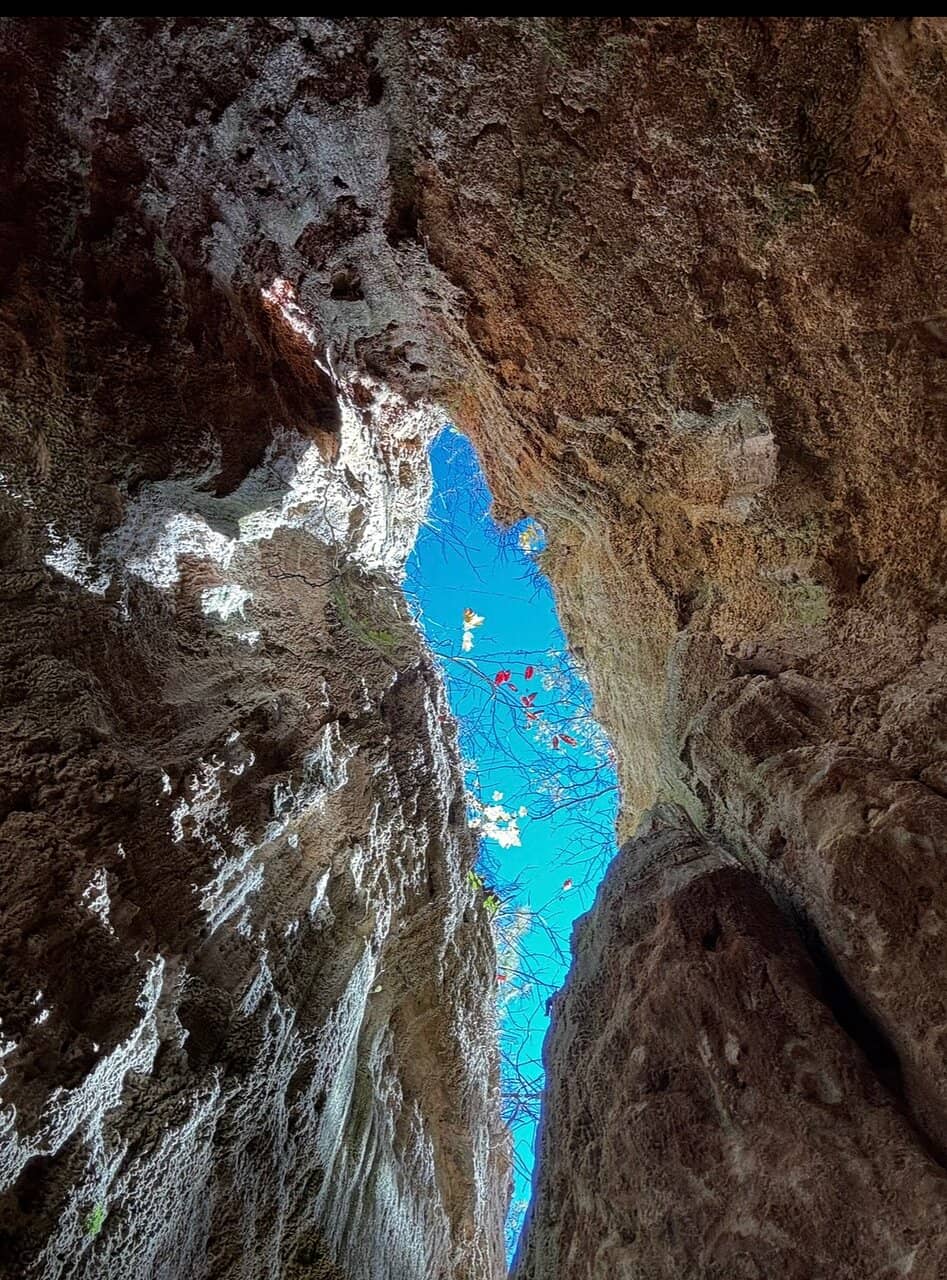 Visitor Center Exhibits