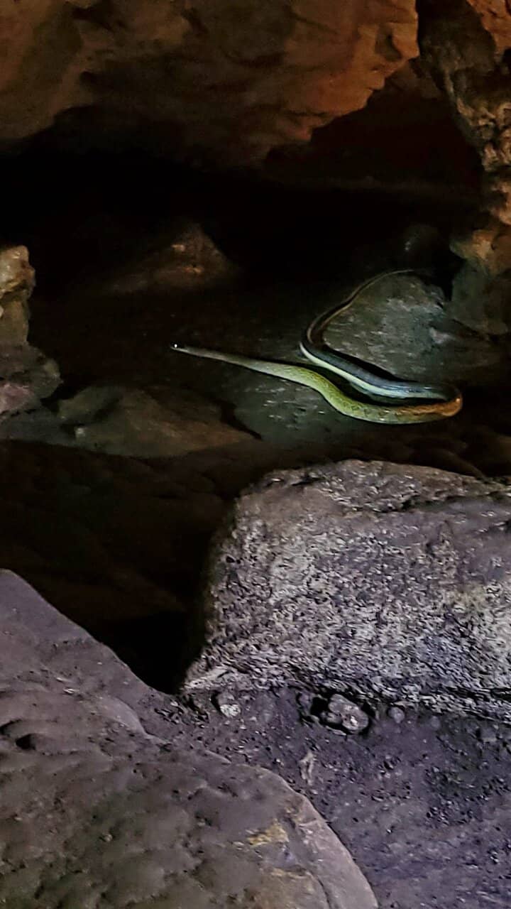 Stalactites & Stalagmites
