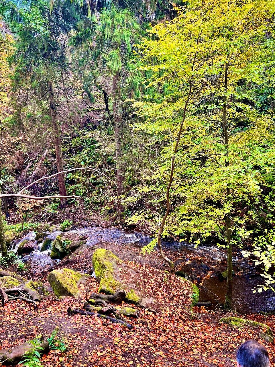 Upper Rivelin Valley Reservoir