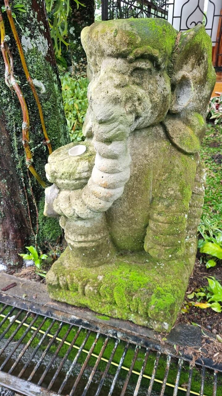 Cultural Harmony Symbol