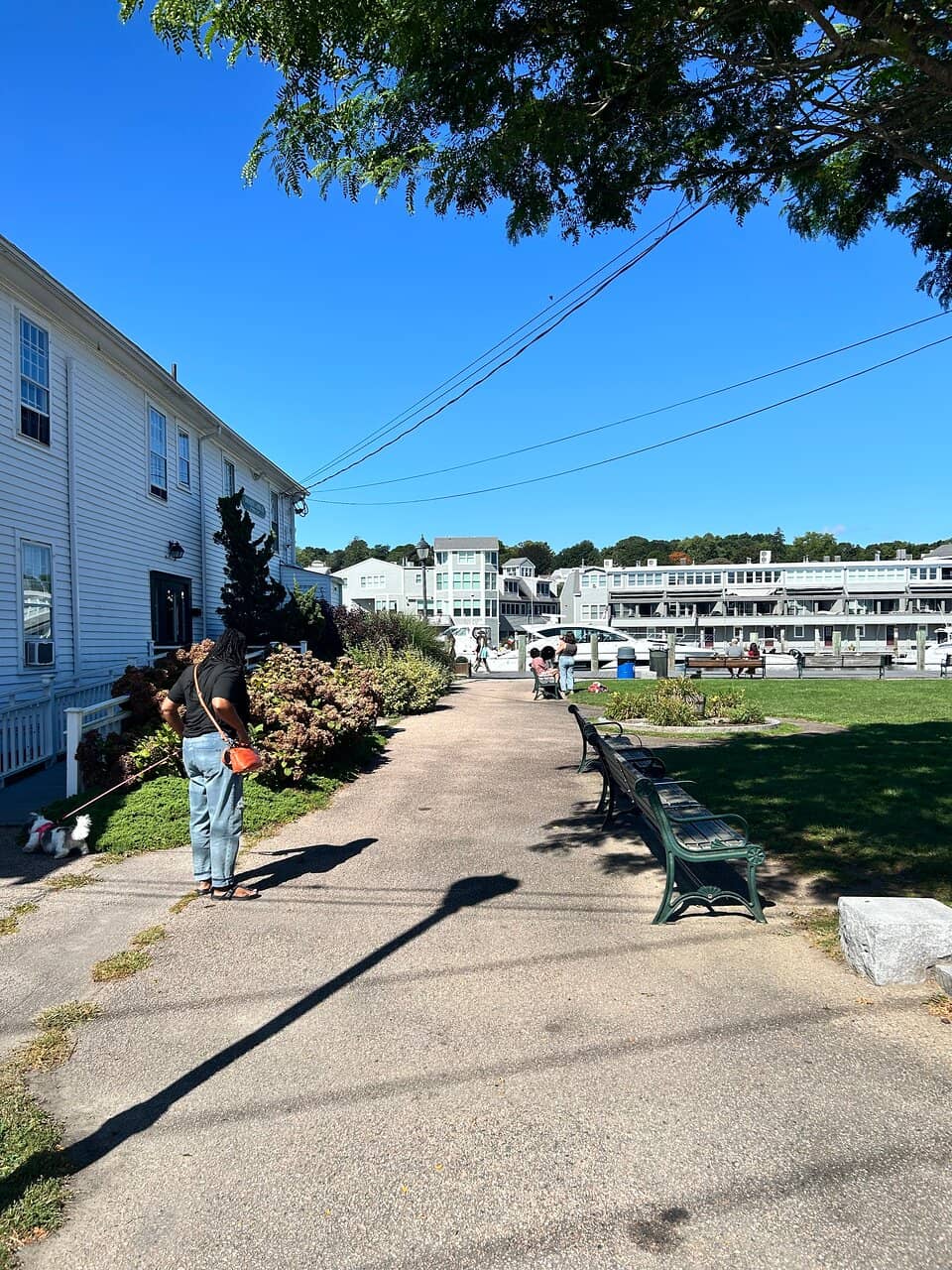 Live Events & Concerts