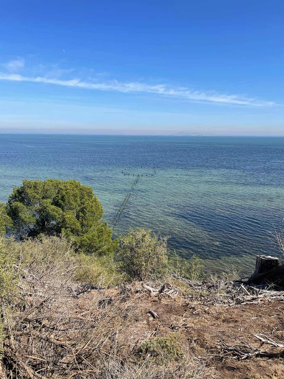 Natural Mineral Springs